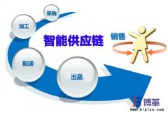 SCOR供應鏈建模優化示例二