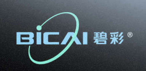 博革為寧波碧彩實業(yè)提供5S、精益工廠布局等咨詢服務